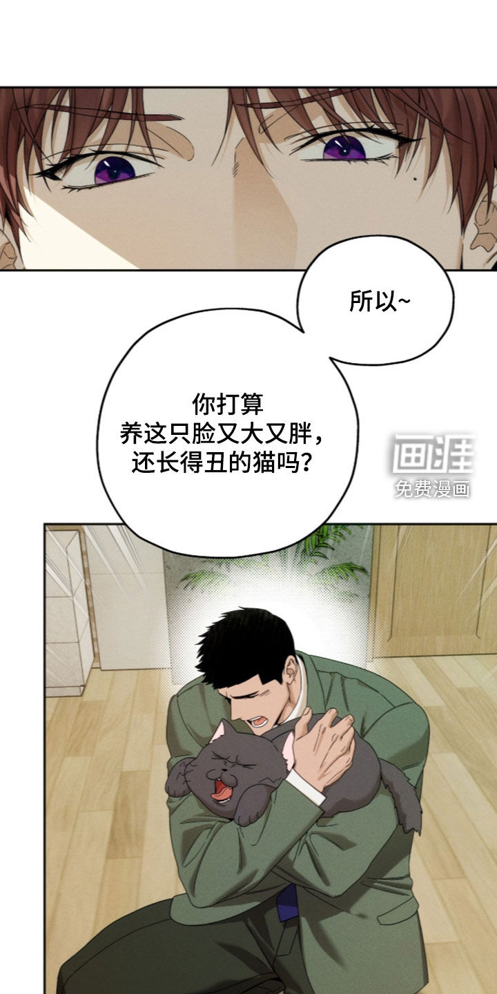 第217话0