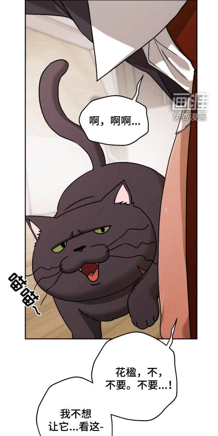 第218话19