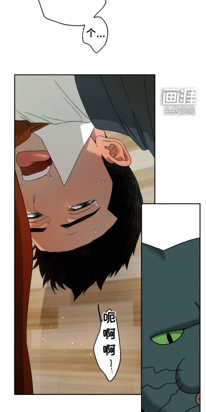 第218话20