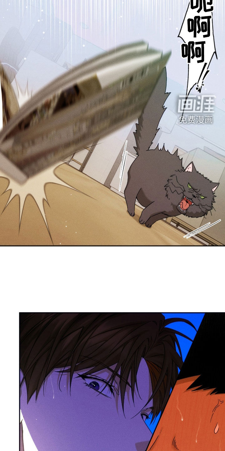 第218话17