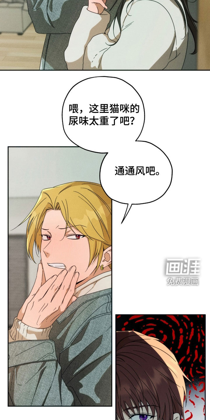 第219话5