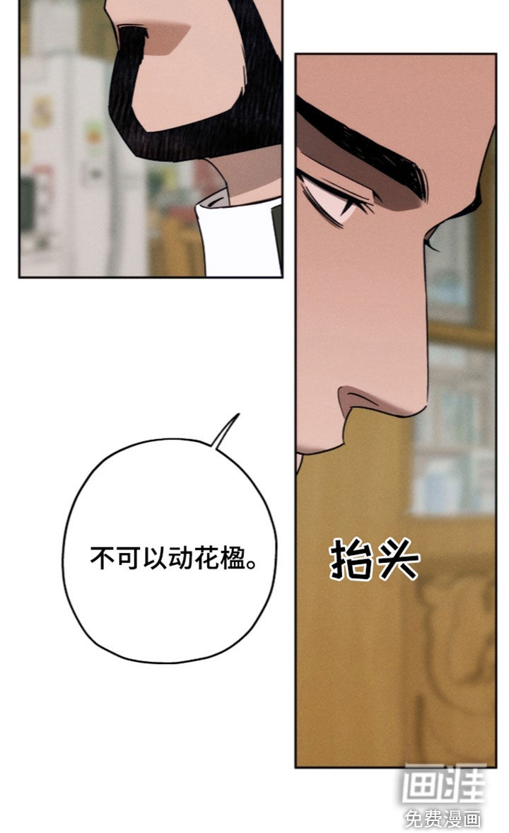 第220话33