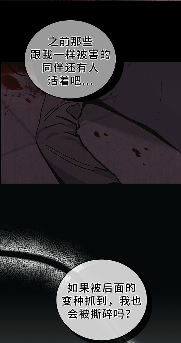 第194话12