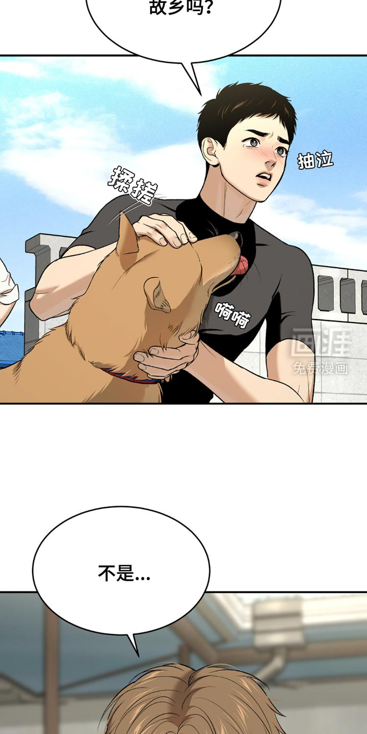 第217话7