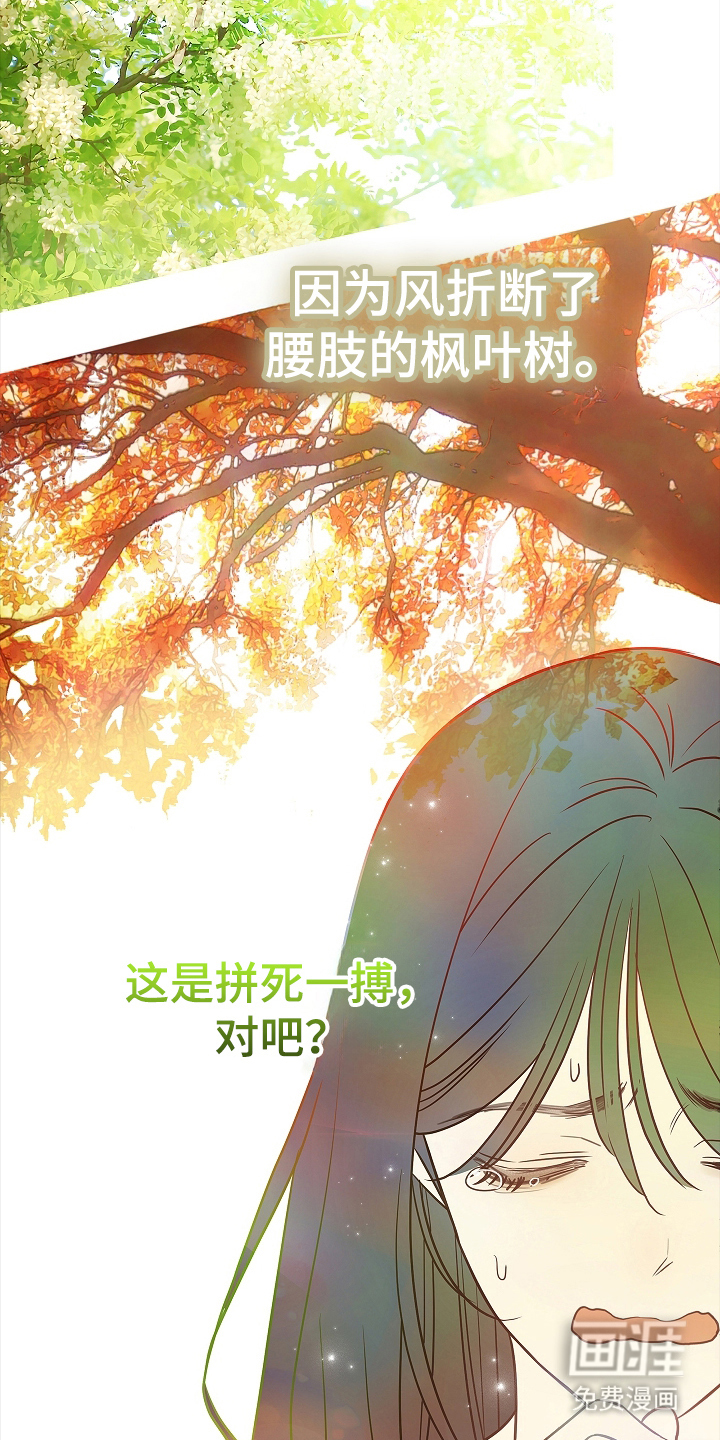 第12话16