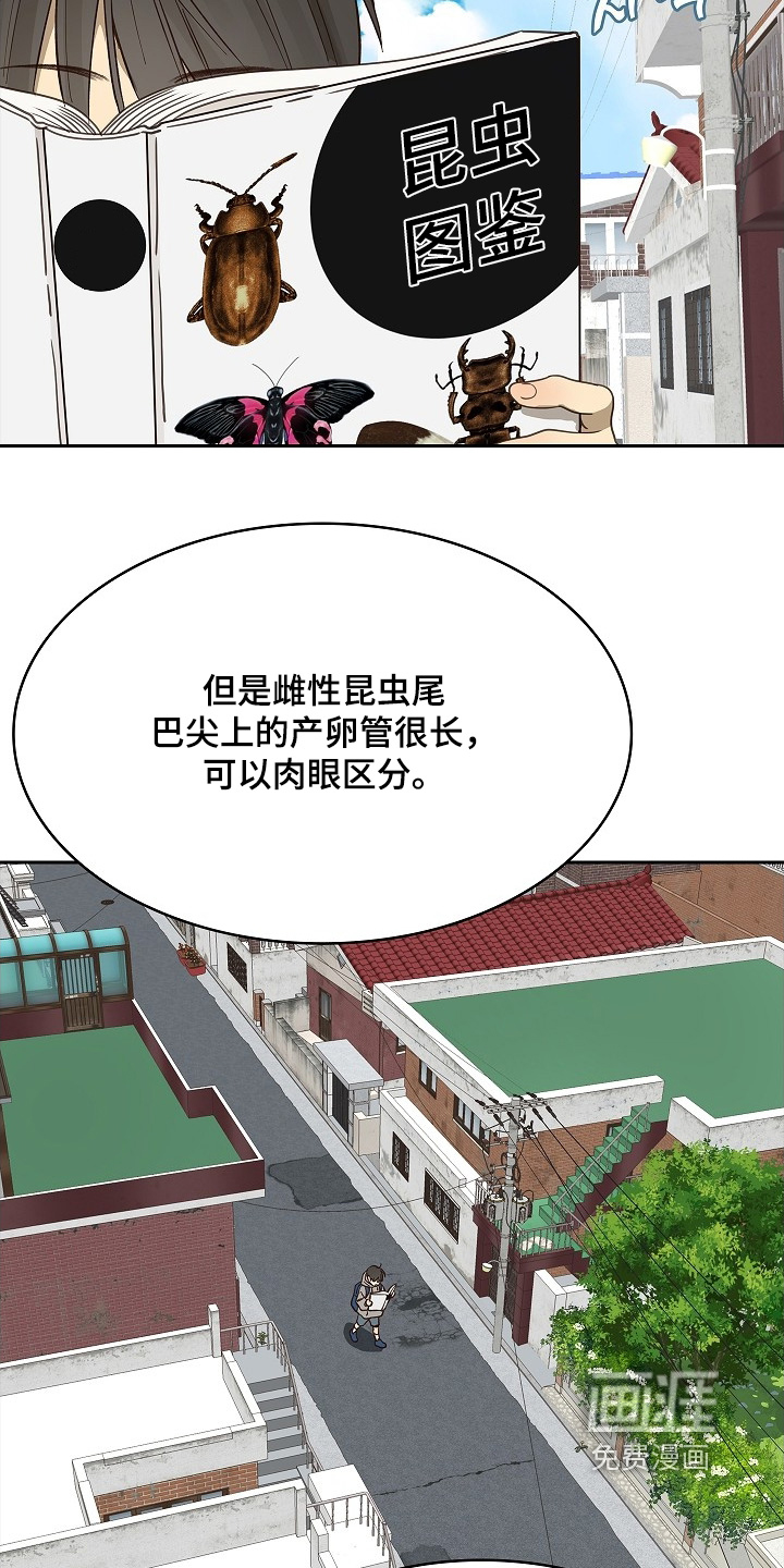 第49话13