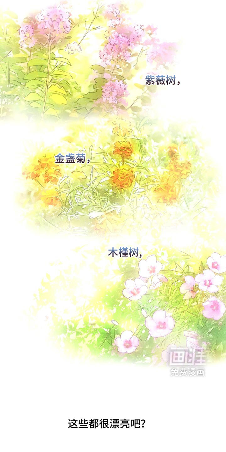 第97话8