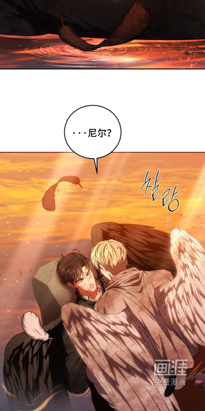 第204话12