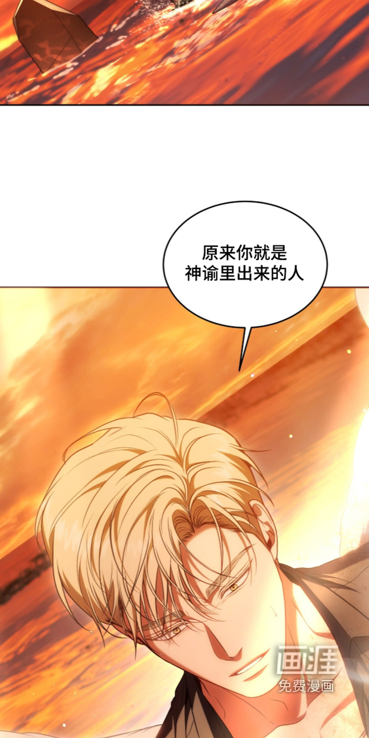 第204话24