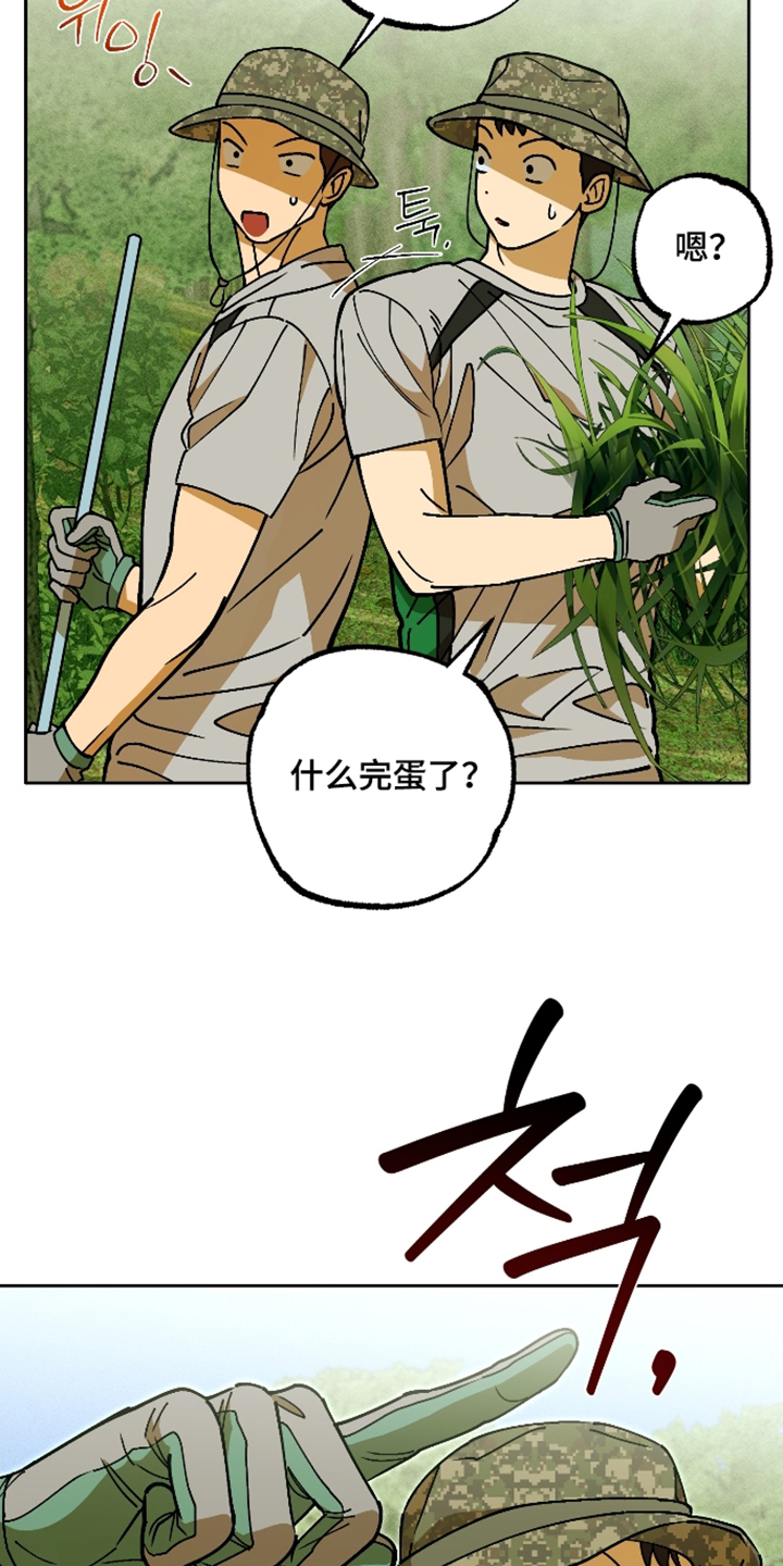 第13话 第3页