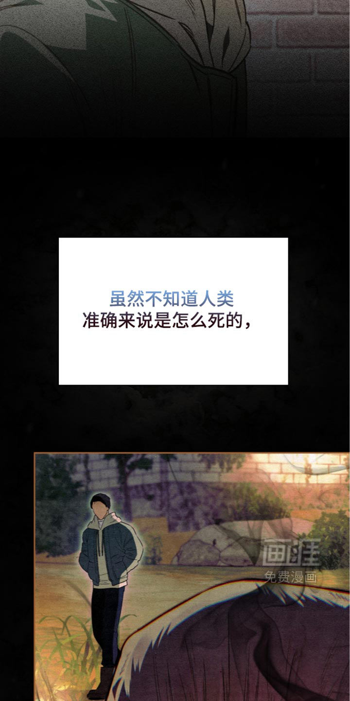 第46话12