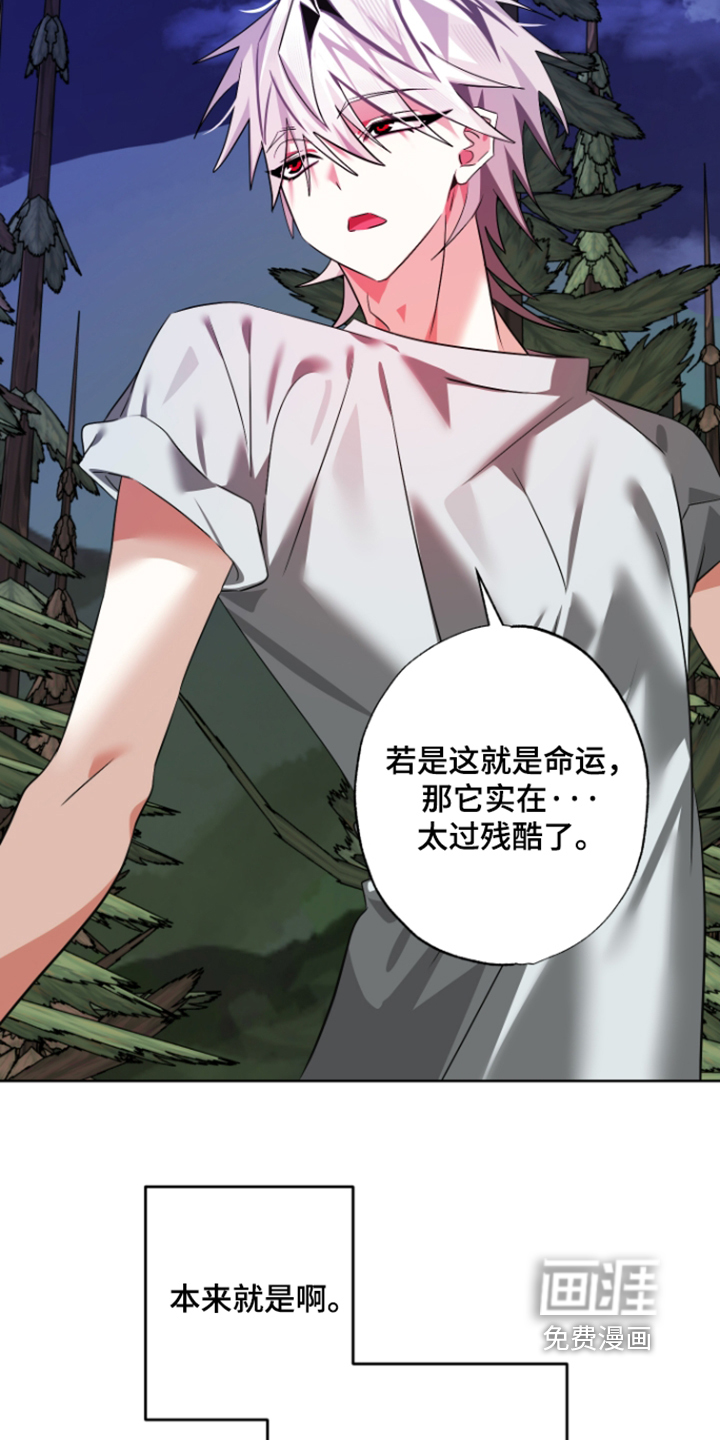 第29话17