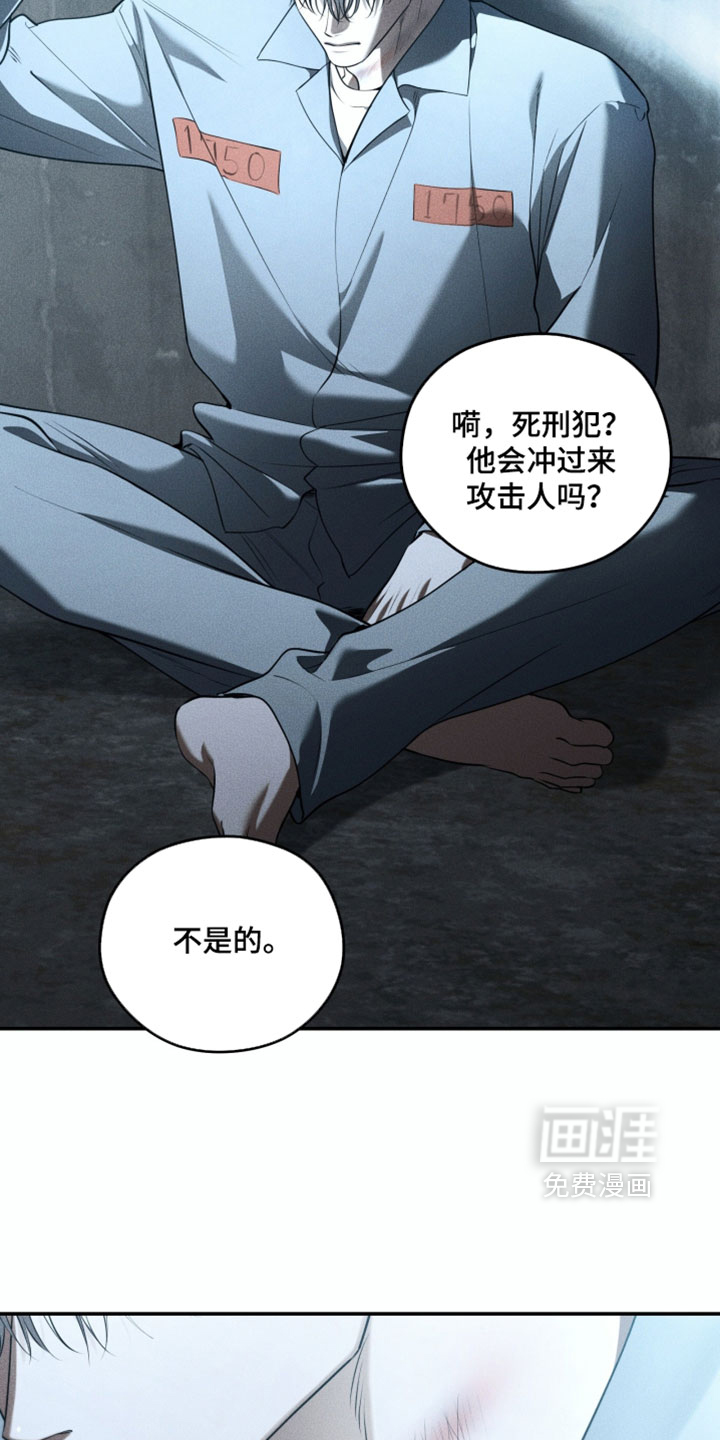 第146话17