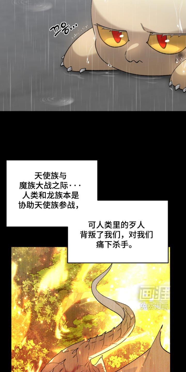第27话13