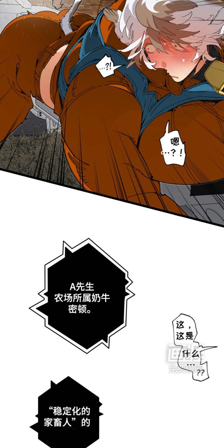 第35话16
