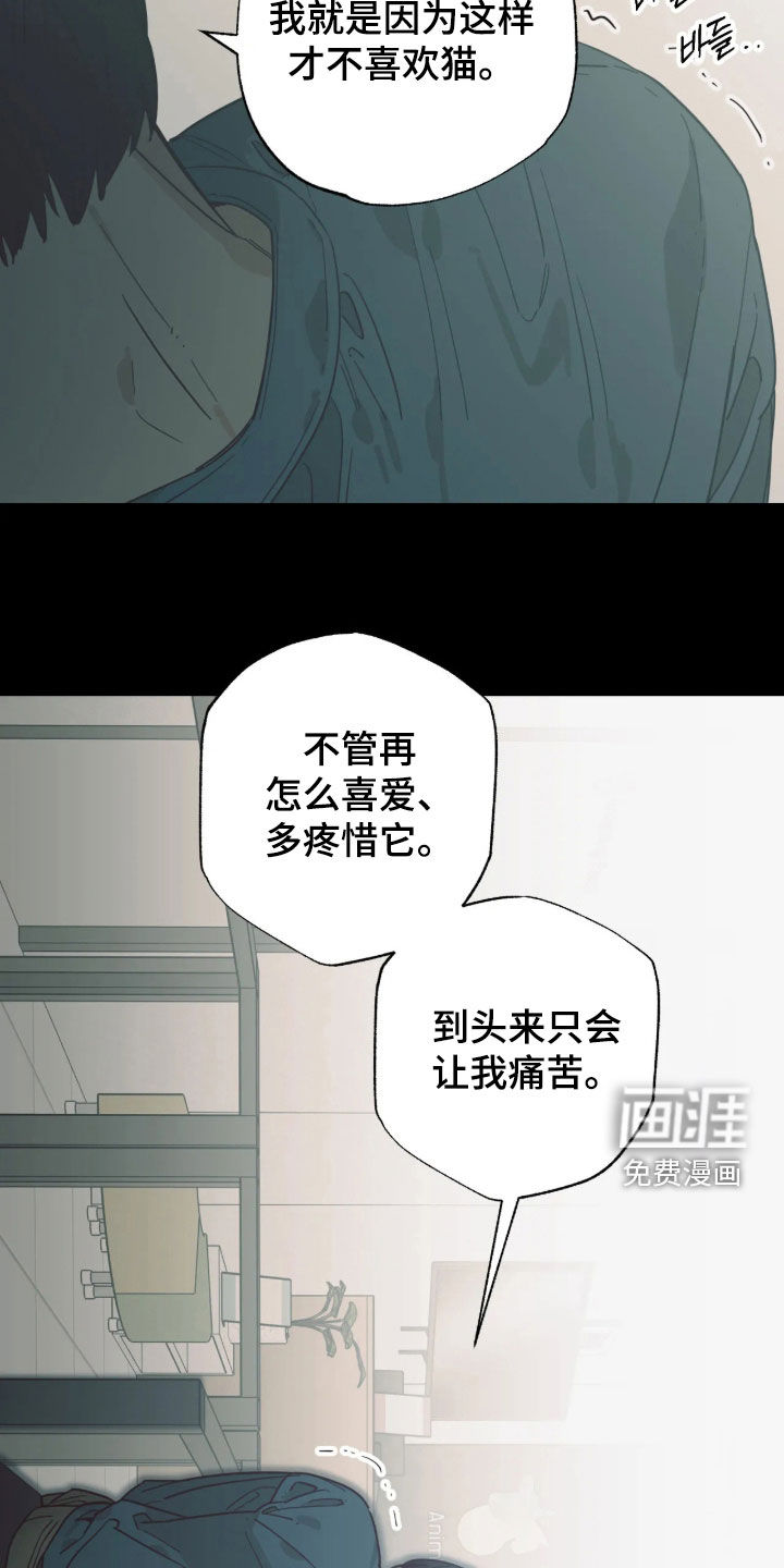 第61话 第20页