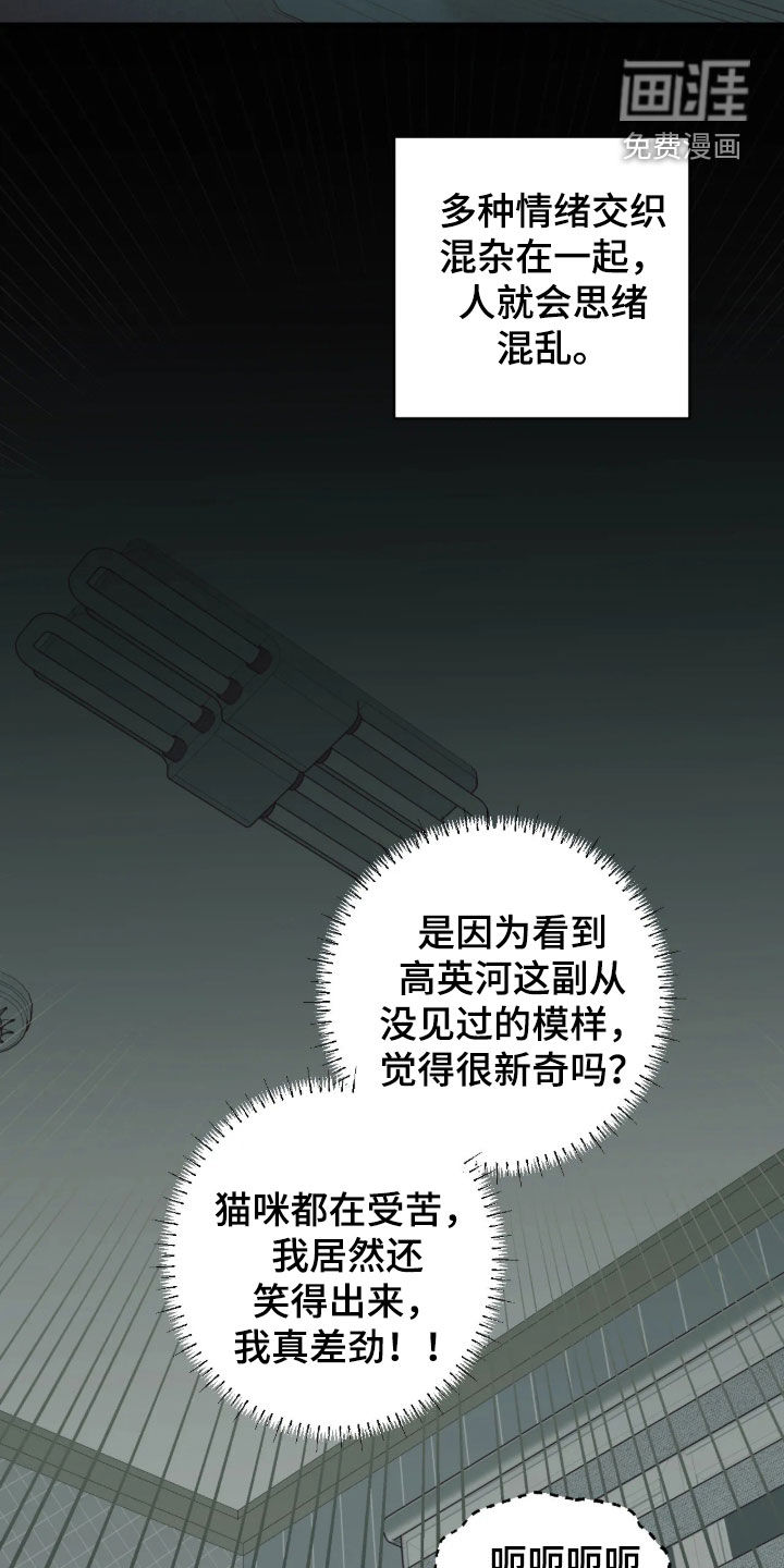 第62话 第19页