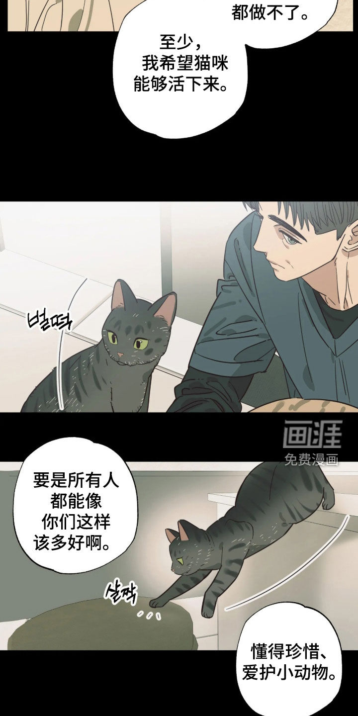 第62话 第11页