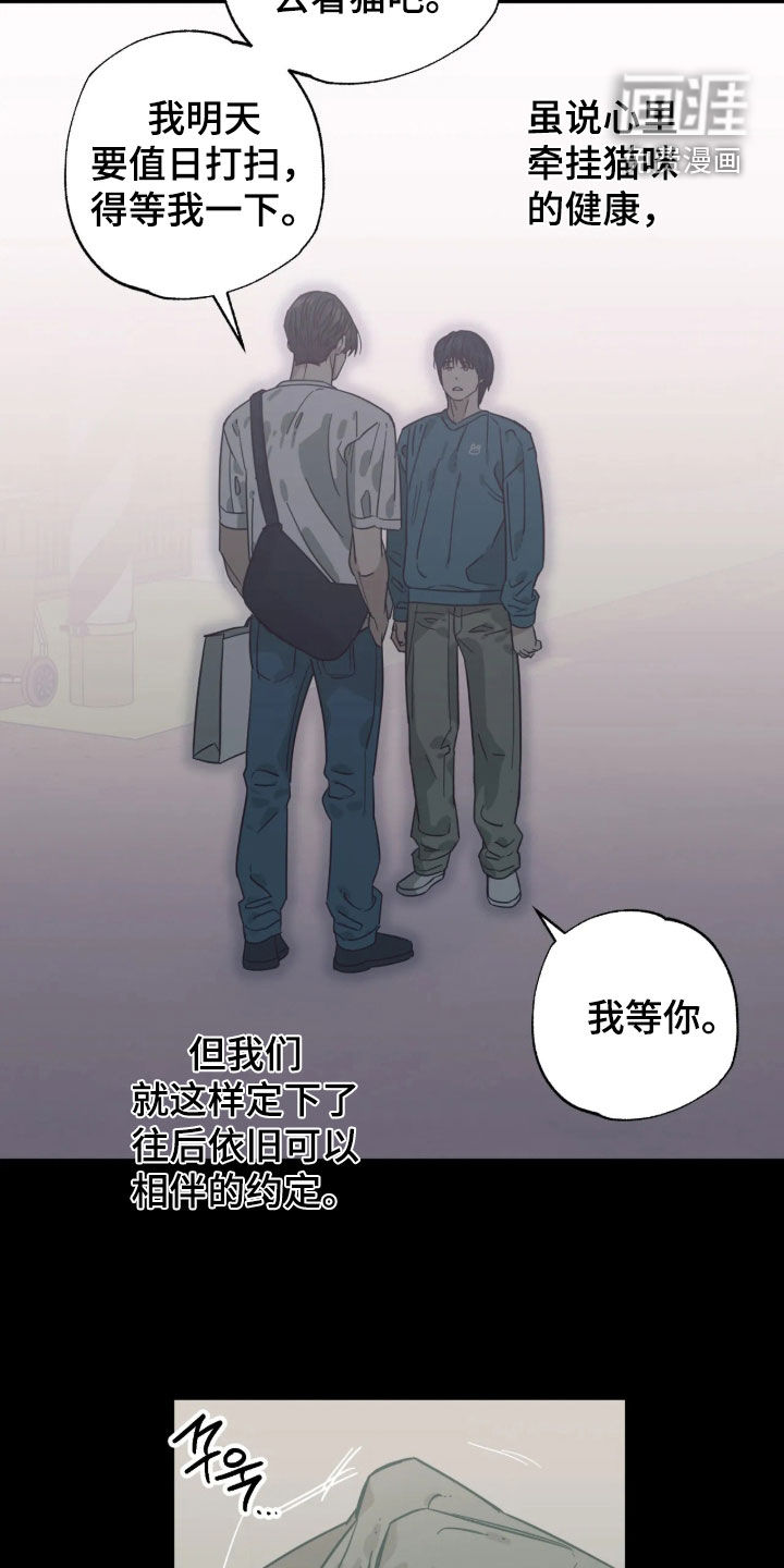 第62话 第22页