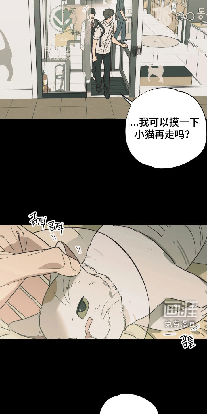 第63话 第22页