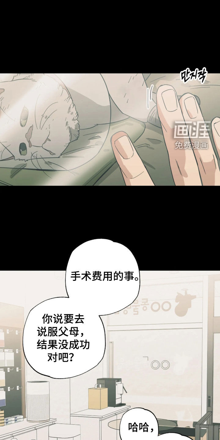 第63话 第11页