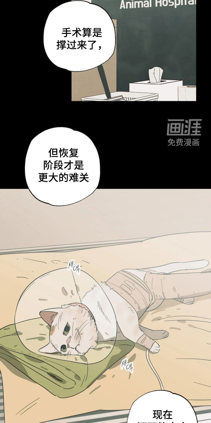 第63话 第6页