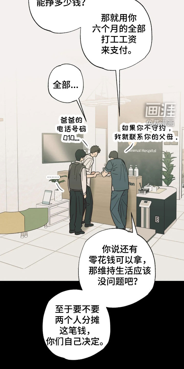 第63话 第13页