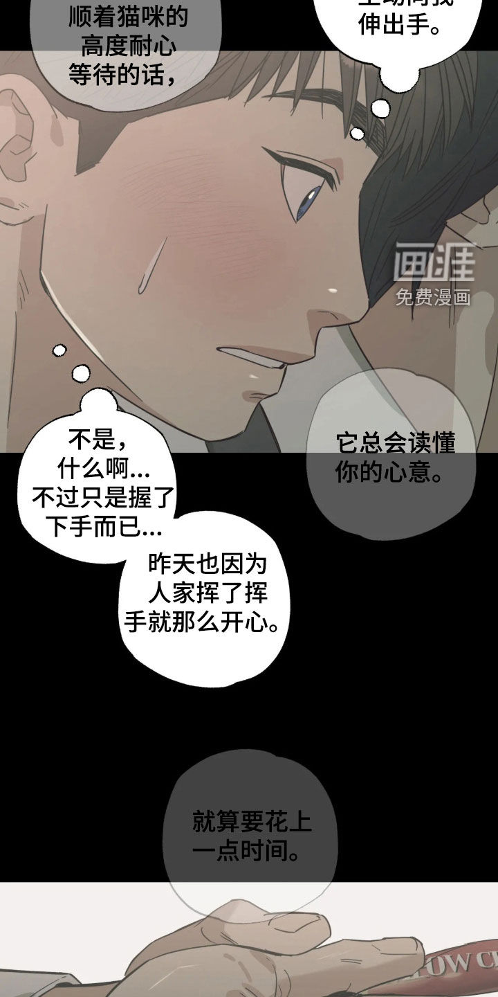 第64话 第20页