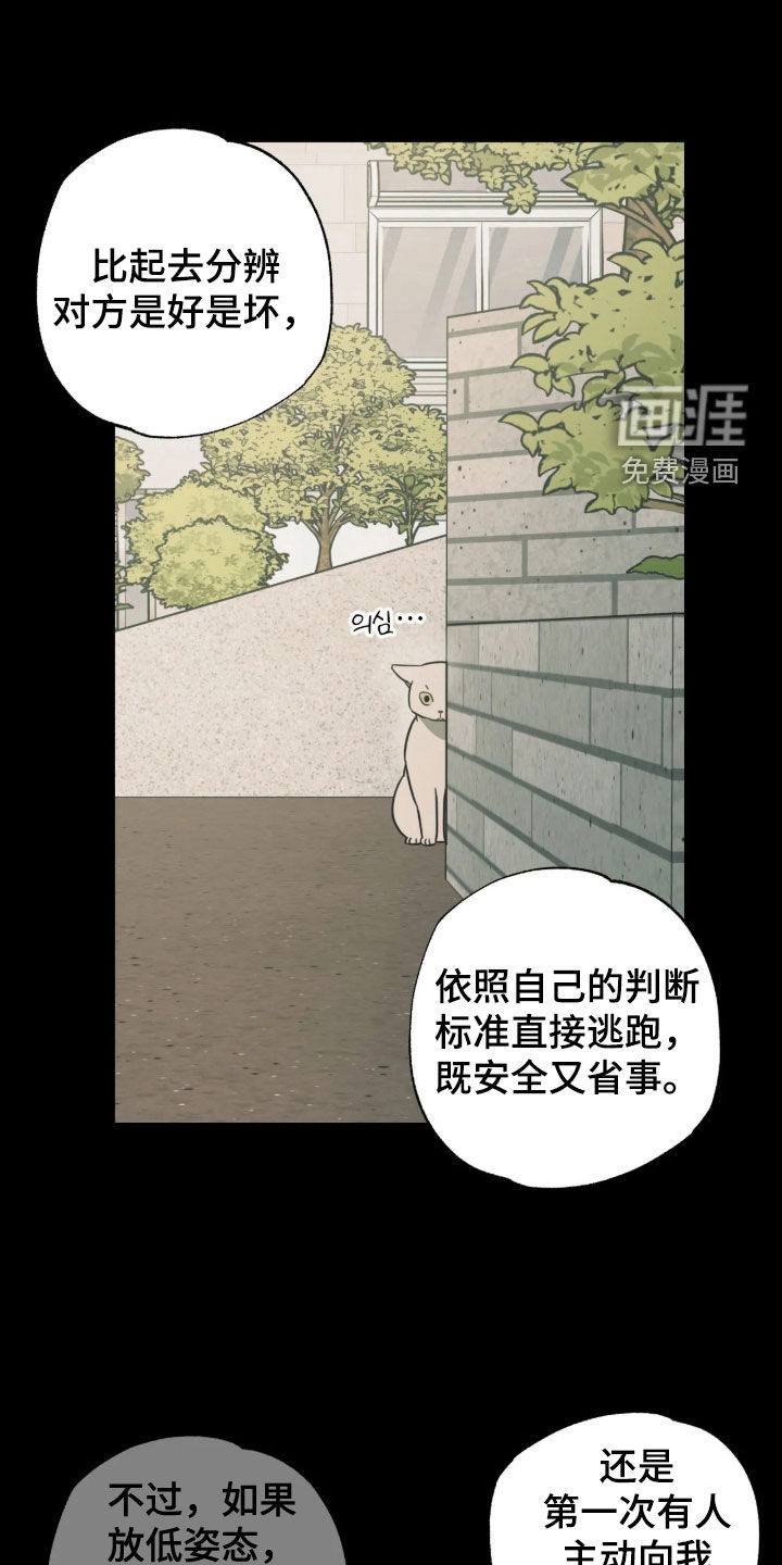 第64话 第19页