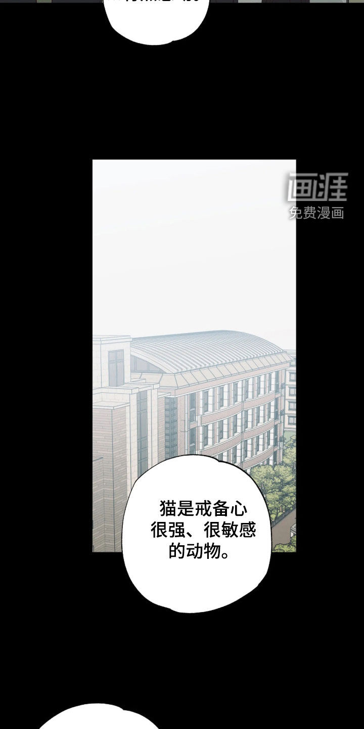 第64话 第16页