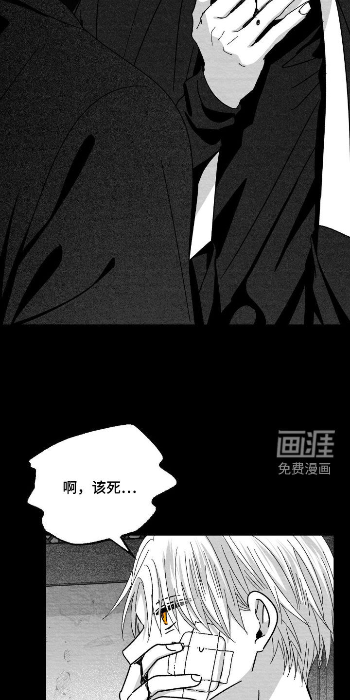第184话14