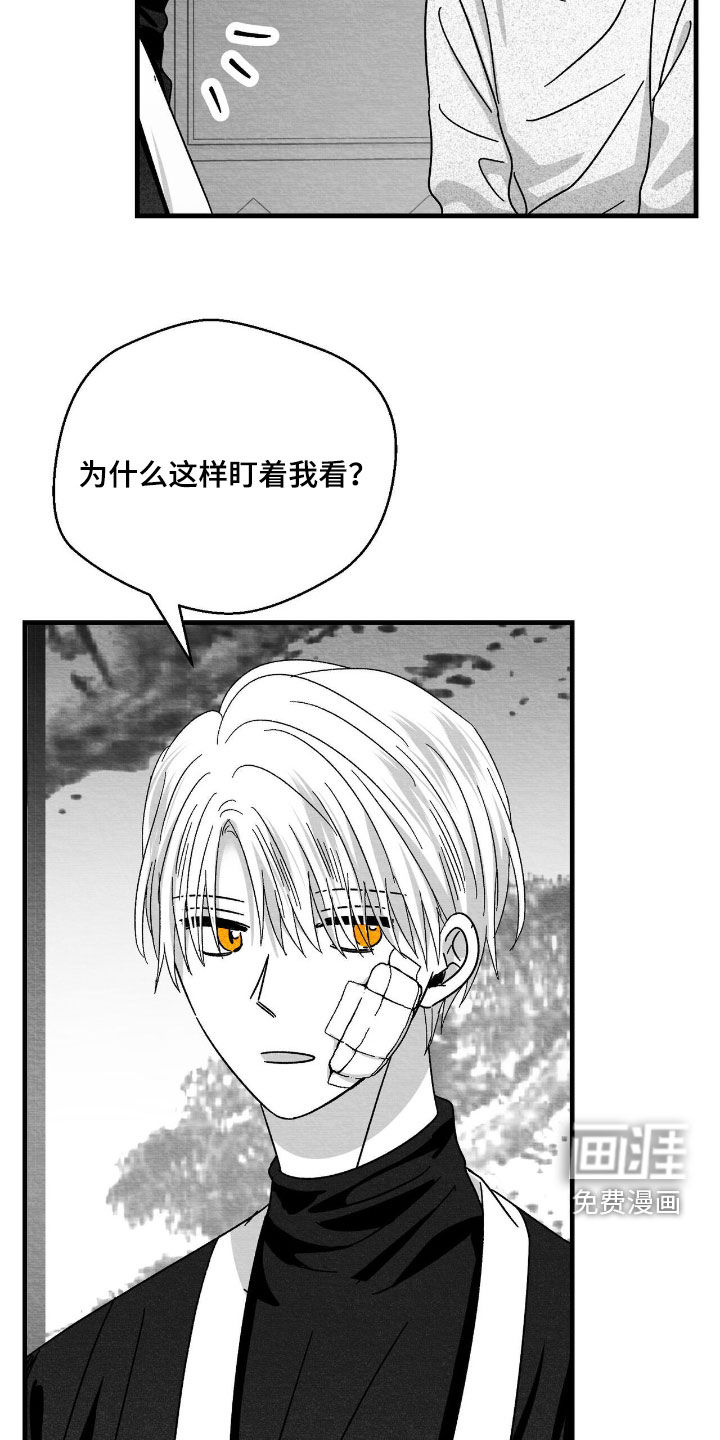 第185话17