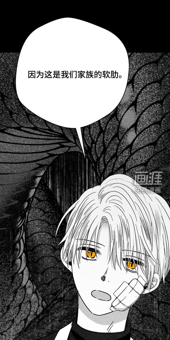 第190话17