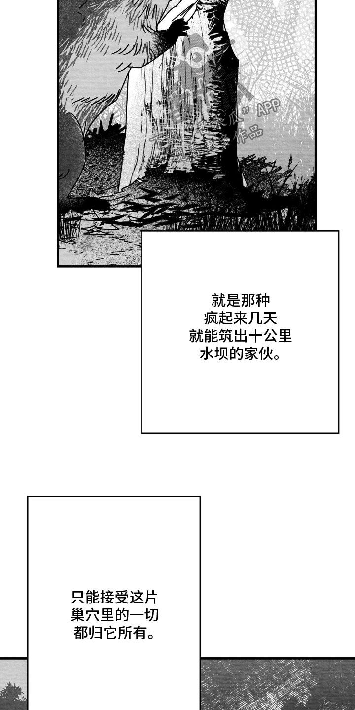 第193话13