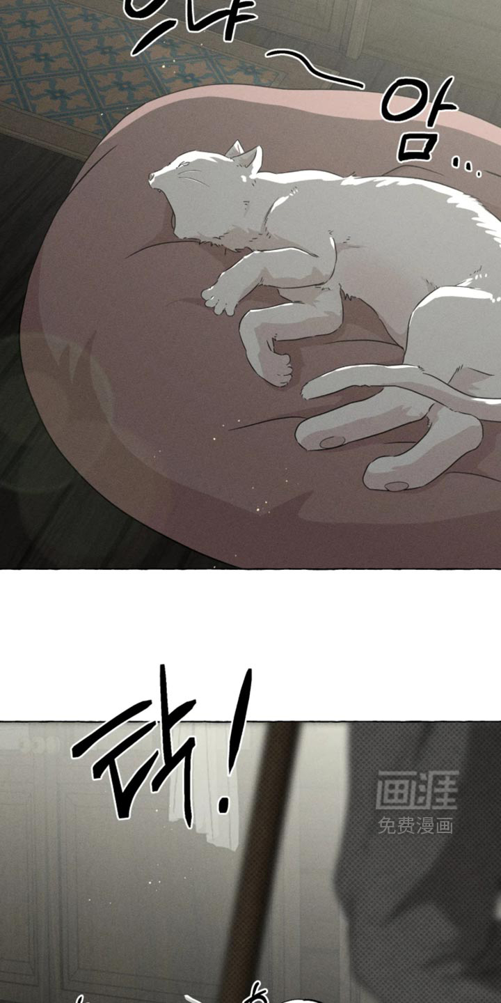 第170话5