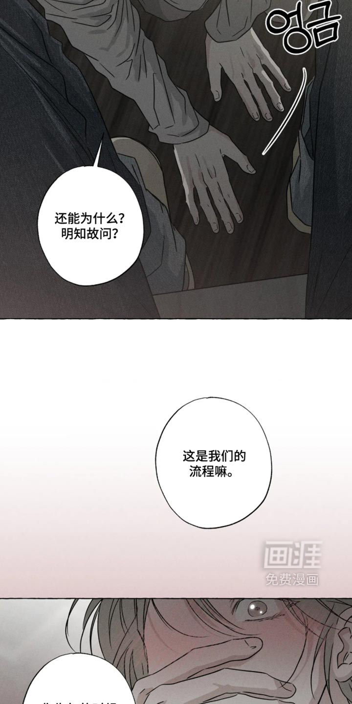 第172话8