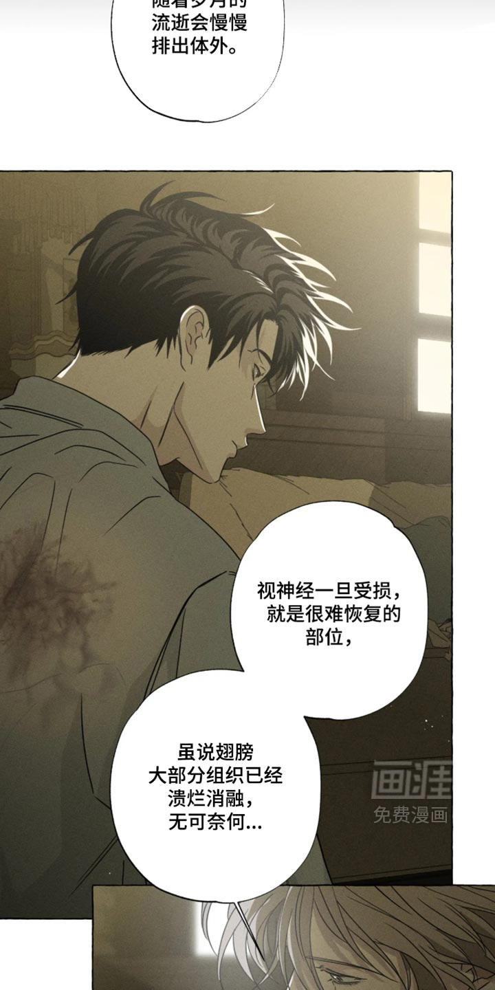 第175话11