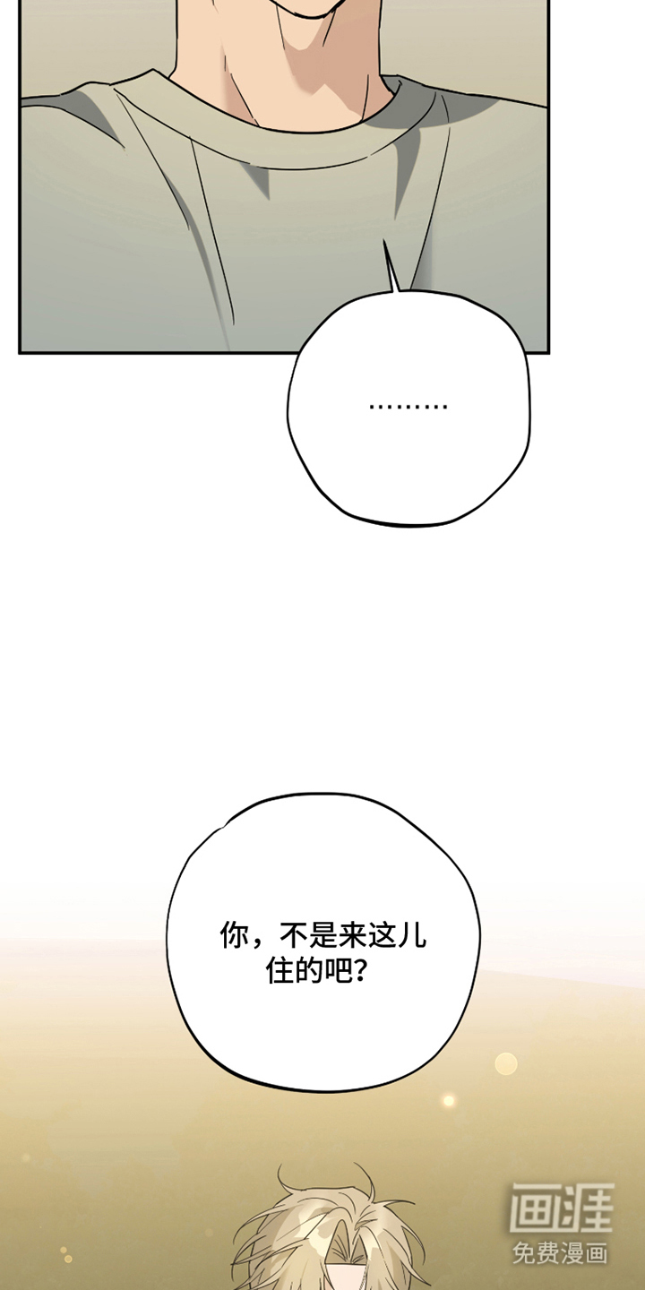 第9话3