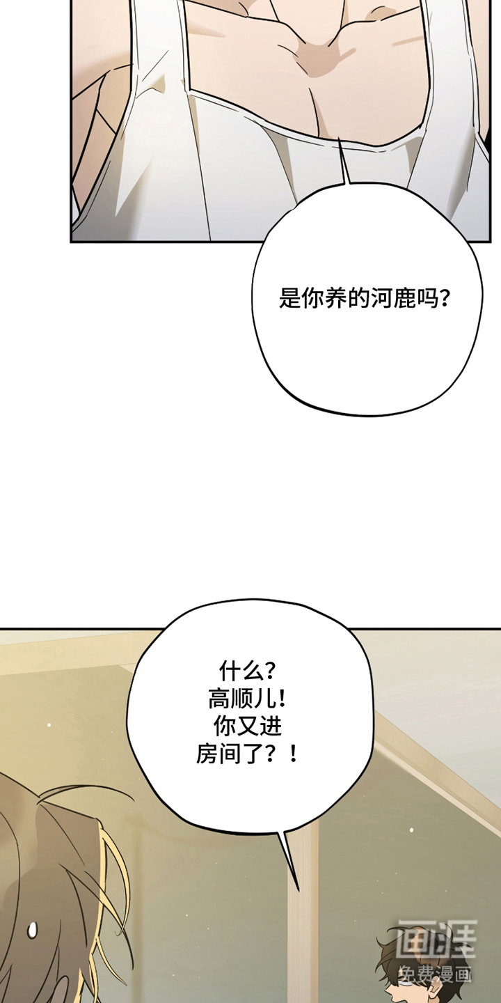 第10话6