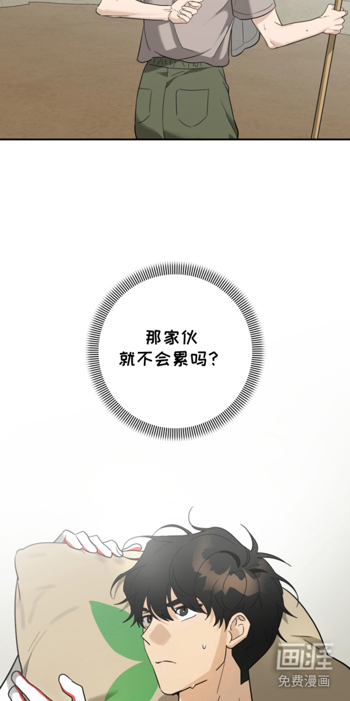 第11话6