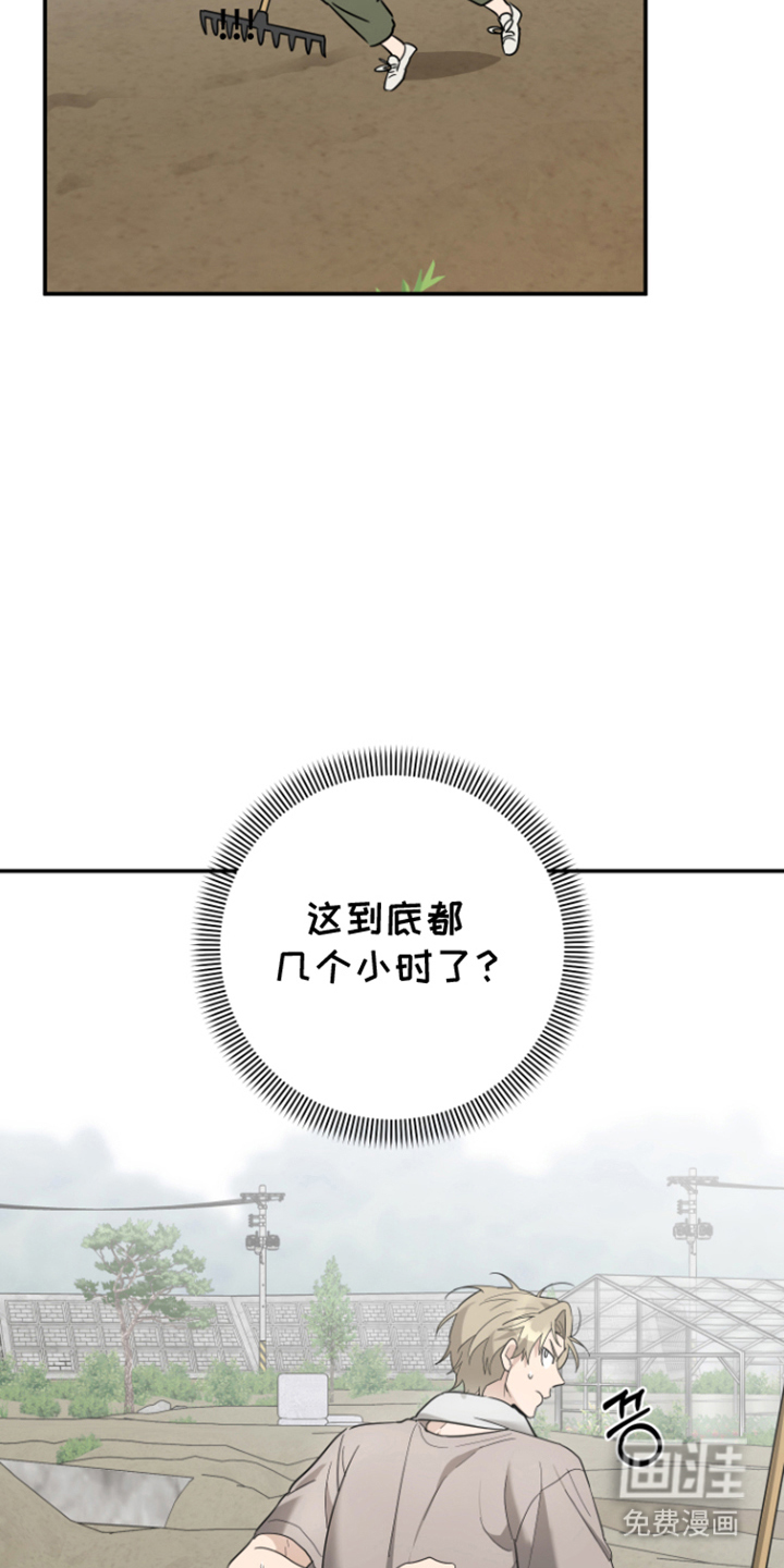 第11话5