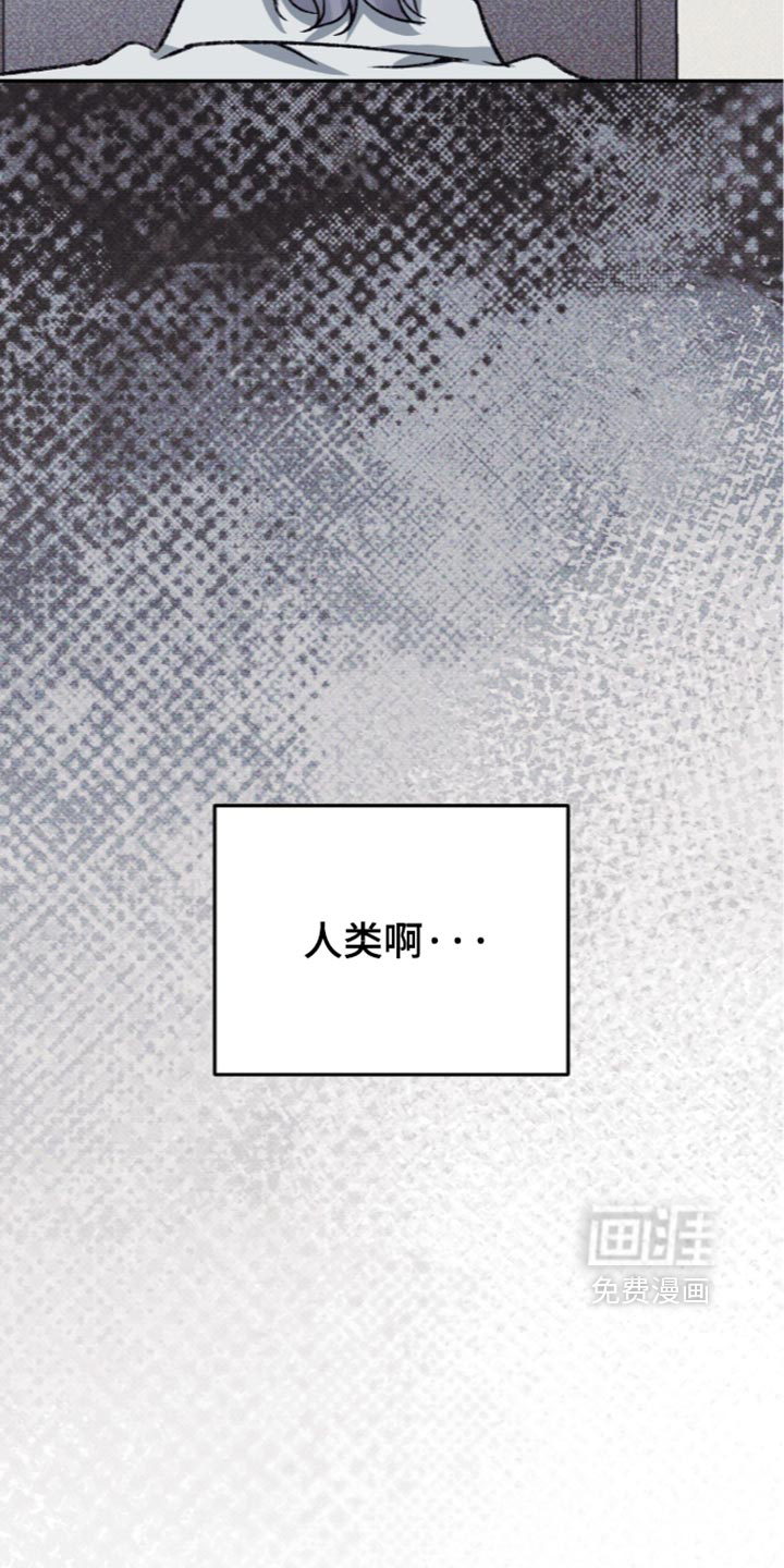 第43话12