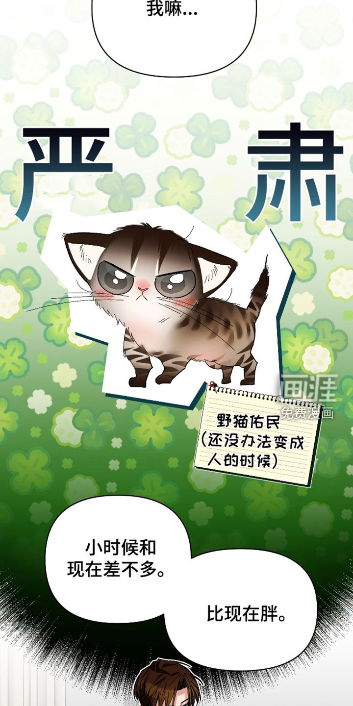 第68话31