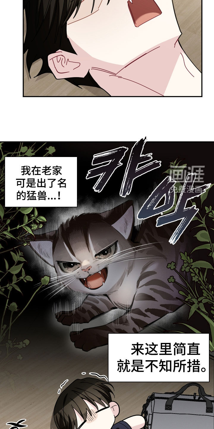 第70话11