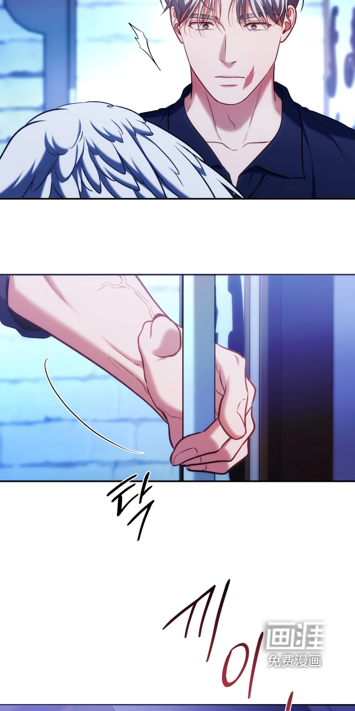 第207话4