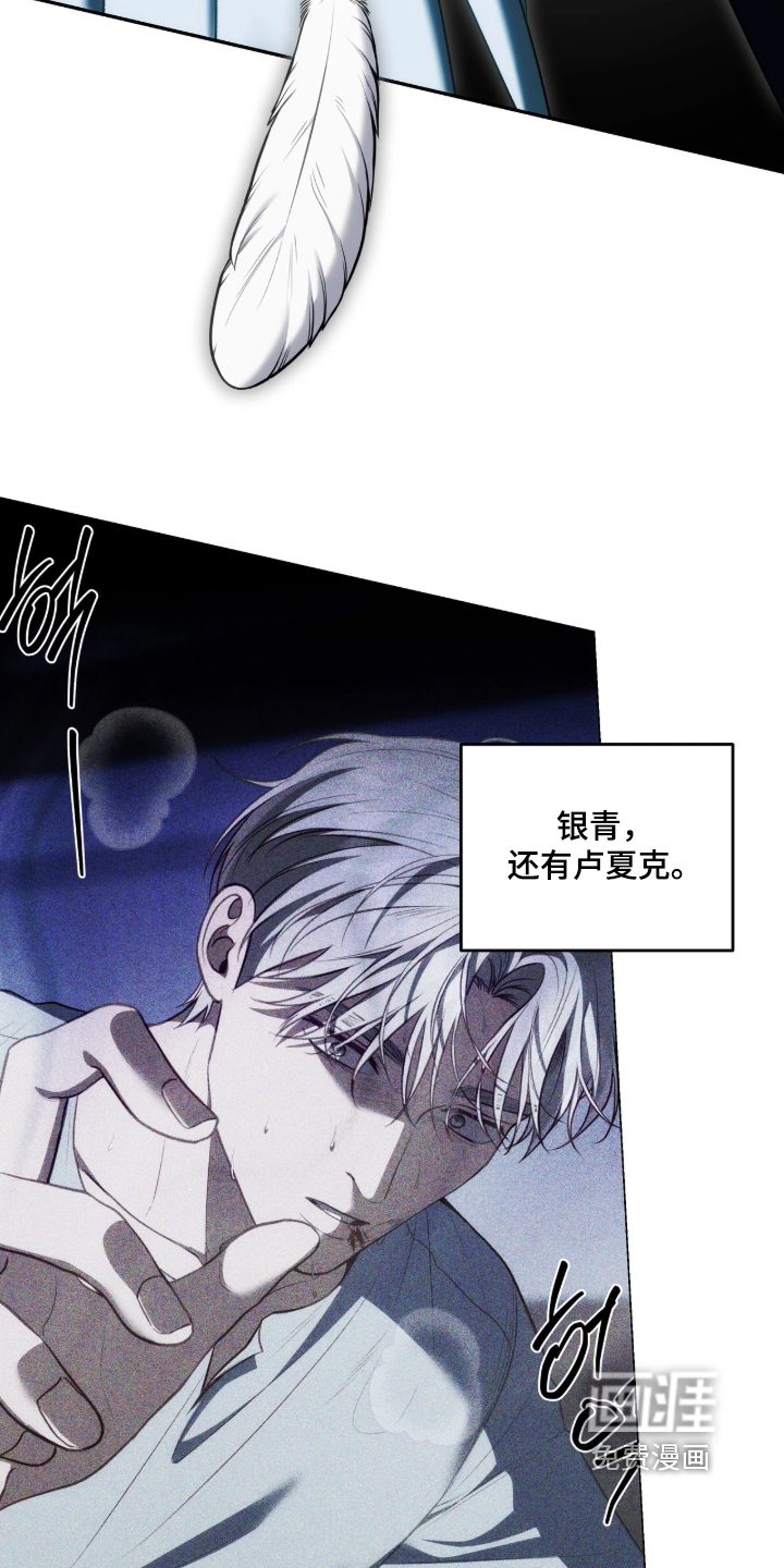 第207话11