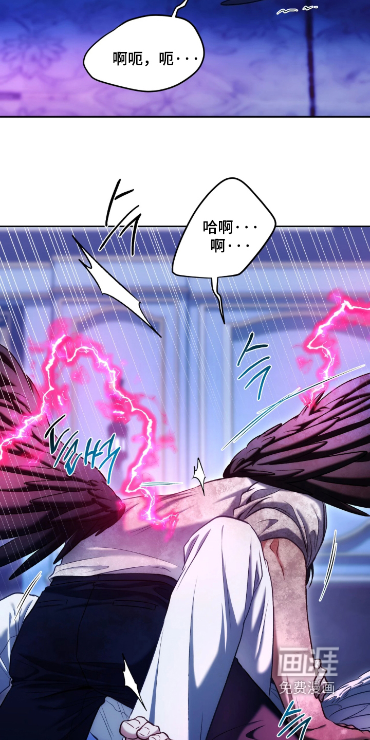 第208话11