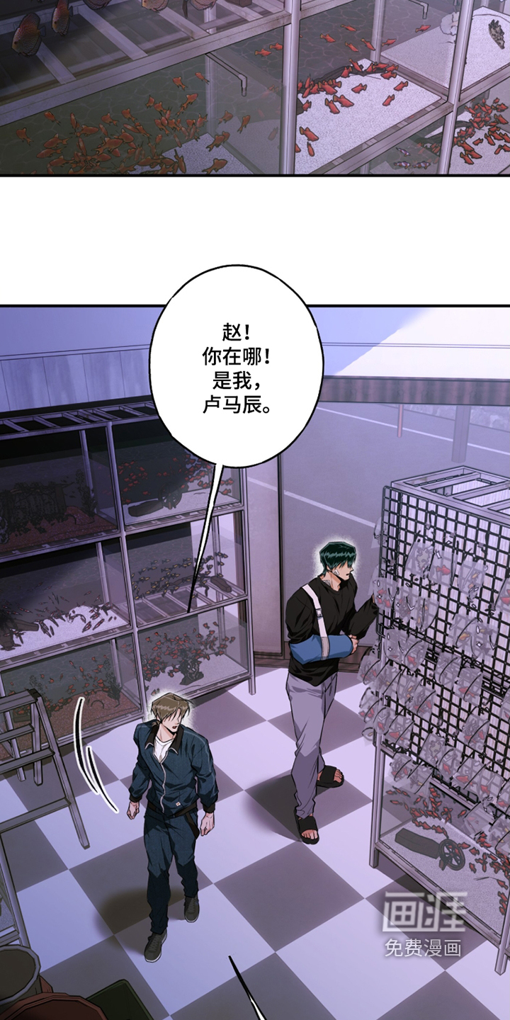 第17话22