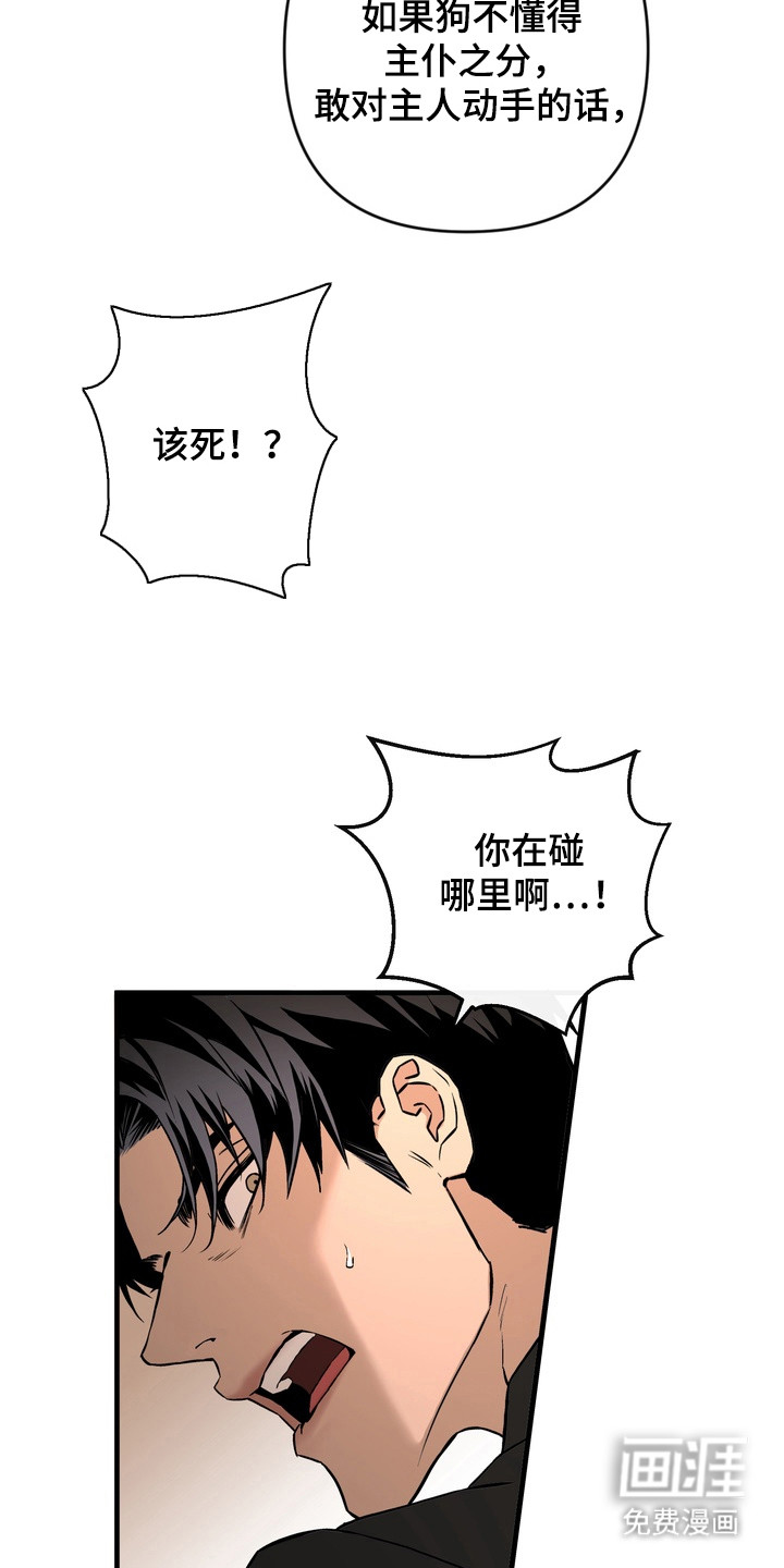 第7话 第13页