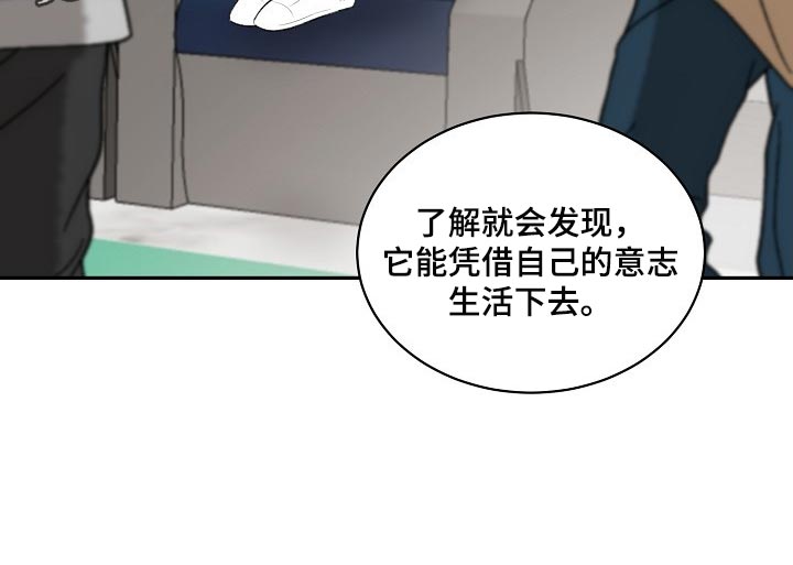 第86话 第15页